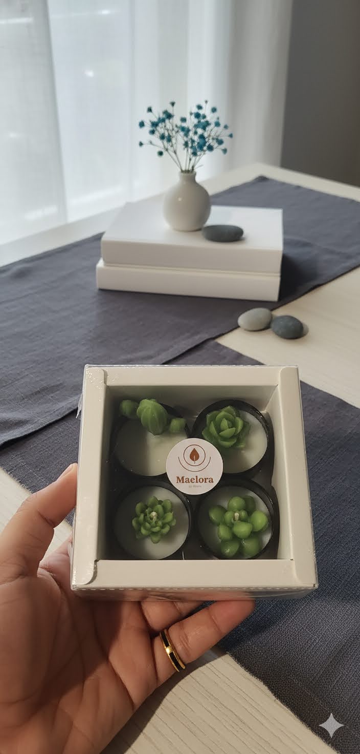 Maelora Succulent Candles gift box ? four green succulent tealights in window packaging